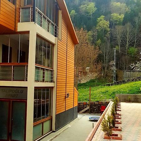 Talipoglu Apart Aparthotel อูซุนกอล ภายนอก รูปภาพ