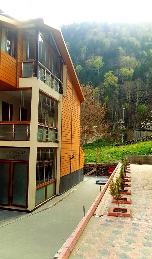 Talipoglu Apart Aparthotel อูซุนกอล ภายนอก รูปภาพ